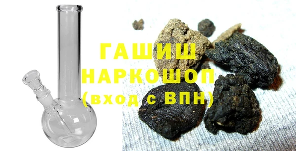 индика Пестово