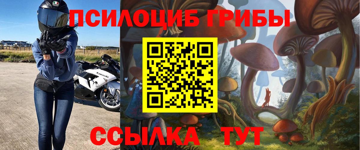 Фролово  Псилоцибиновые грибы Cubensis  Псилоцибиновые грибы GOLDEN TEACHER  Вход с VPN 