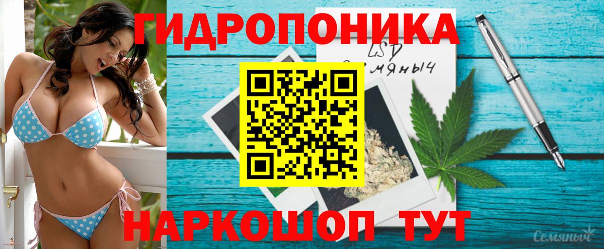 Бошки марихуана планчик  МАРИХУАНА планчик  Вход с VPN  МАРИХУАНА Ganja  Фролово  МАРИХУАНА THC 21% 